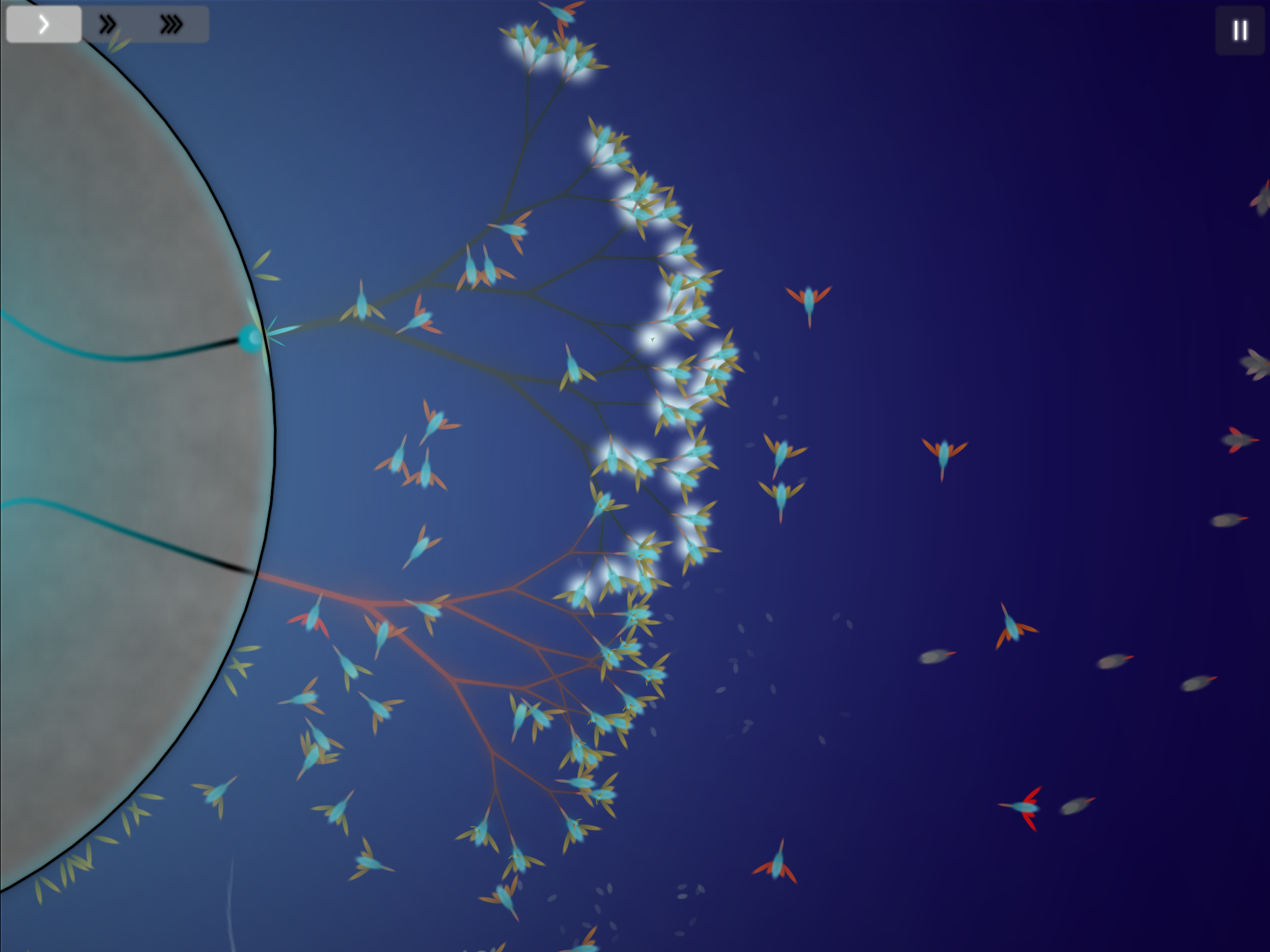 Eufloria HD