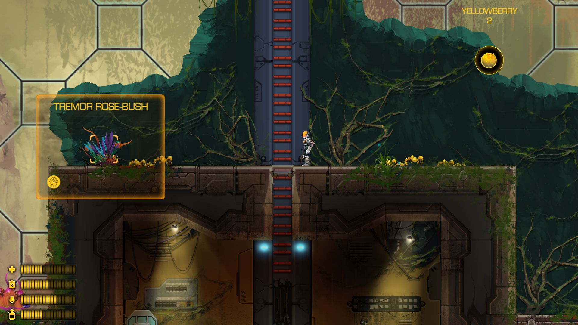 StarLit: Colony